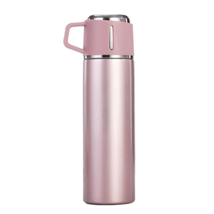 Stainless steel thermos with cup