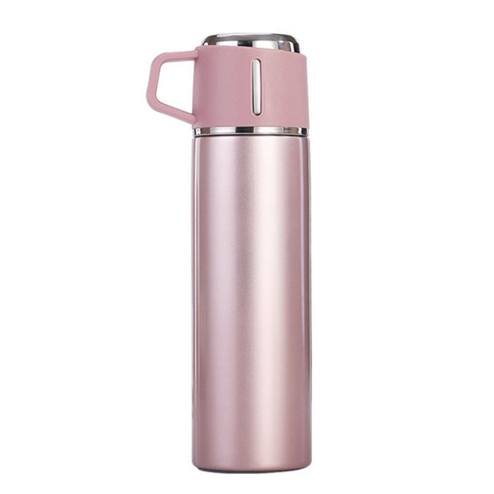 Stainless steel thermos with cup